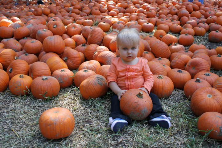 avalyn-with-the-pumpkins